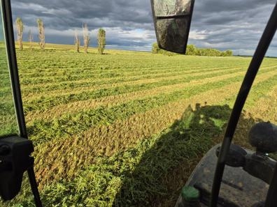 Tractorista, peón agrícola