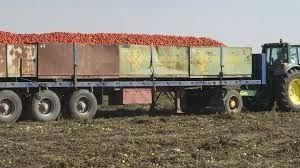 BUSCO CONDUCTOR CAMION TRAILER