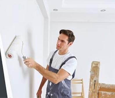 Necesito auxiliar avanzado en pintura