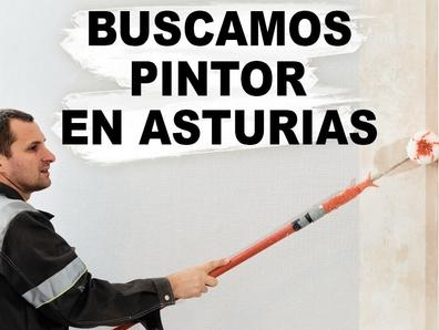 Buscamos pintor en Asturias
