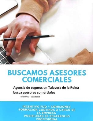 Asesor comercial