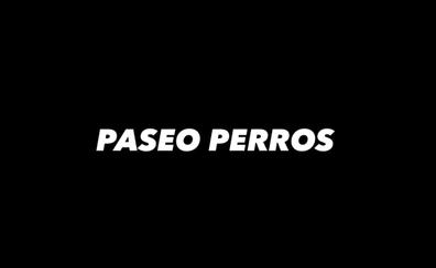 paseador de perros