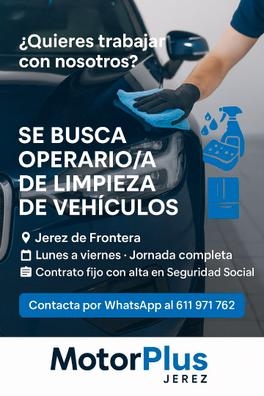limpiador de vehiculos