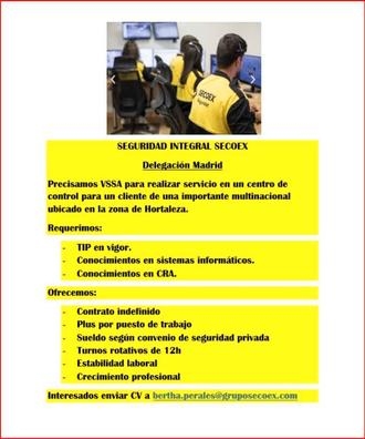 Vigilante de Seguridad