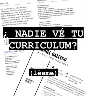 cv profesional