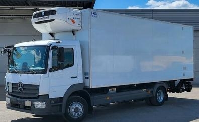 BUSCO AUTONOMO CON CAMION FRIGORIFICO