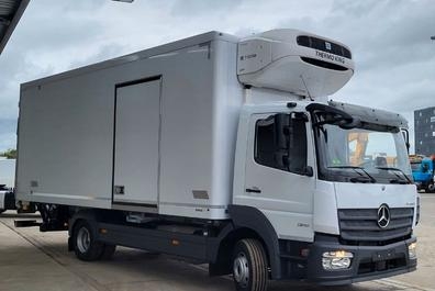 BUSCO AUTONOMO CON CAMION FRIGORIFICO
