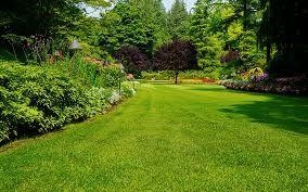 SE BUSCA PERSONAL PARA JARDINERIA