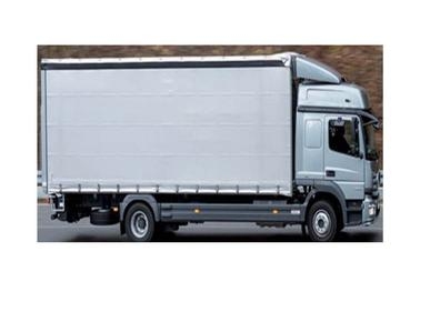 Chofer para tráiler y chofer para camión