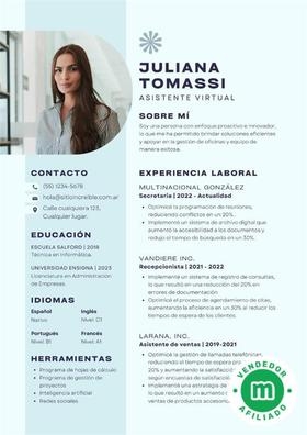Curriculum curriculum profesional
