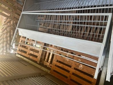 Comederos ovejas y cabras