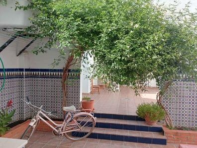 Mecánico de motos ?
