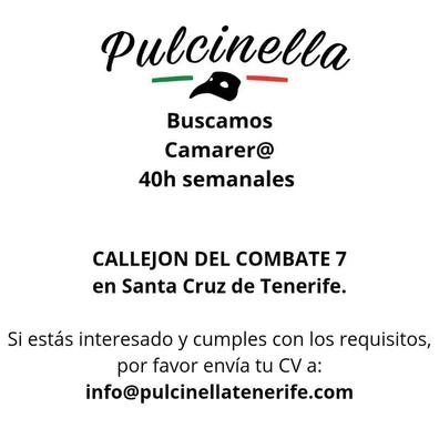 CAMERER@ 40H