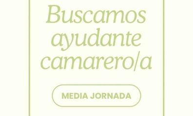 Ayudante Camarera