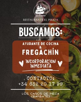 FREGACHÍN Y AYUDANTE DE COCINA