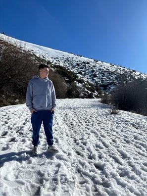 Cuidador y paseador de perros