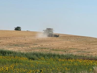 trabajador agrícola