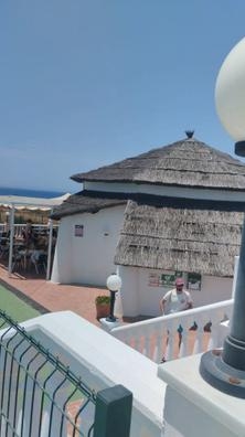 Camareros barra y terraza