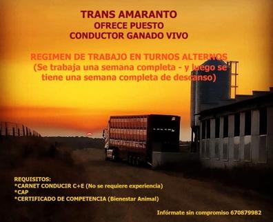 CONDUCTOR GANADO VIVO