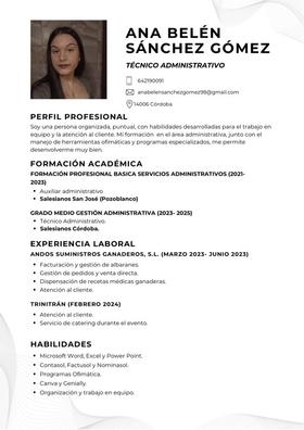 Técnico Administrativo