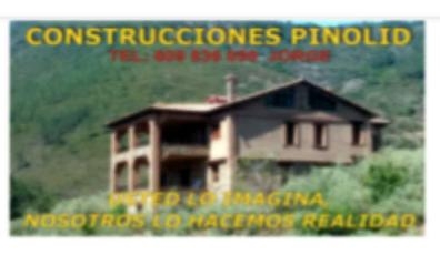 Busco oficial de 1