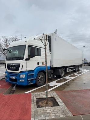 TRANSPORTISTA PARA FRIGORÍFICO