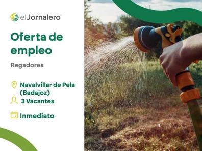 Regadores-Navalvillar de pela