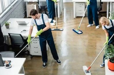 Limpiadores con certificado discapacidad