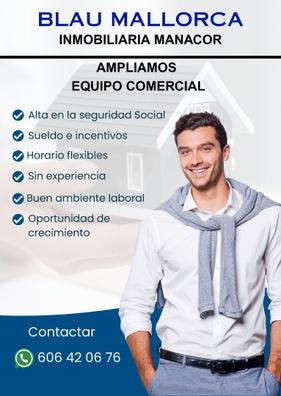 Comercial Inmobiliario Sueldo más comisi