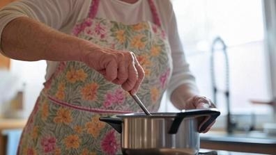 COCINERA DOMESTICA