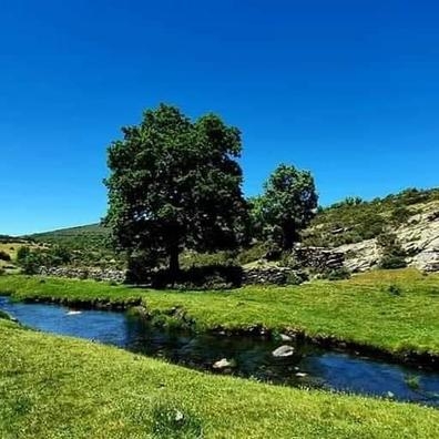 Camarero con experiencia