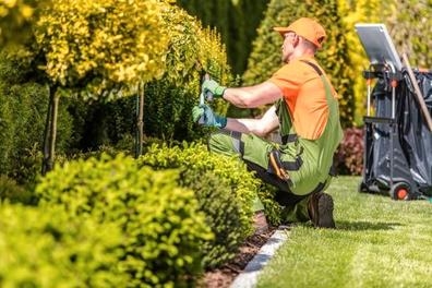 Urge jardinero