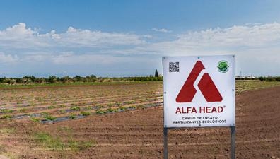 Técnico Comercial Agrícola