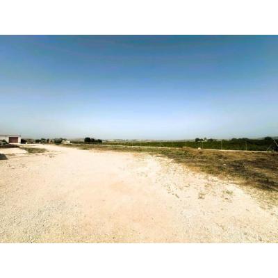 Venta finca rustica con nave Torremendo