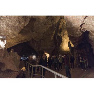 grupo ecologista busca ampliar amistades