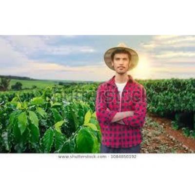 grupo ecologista busca ampliar amistades