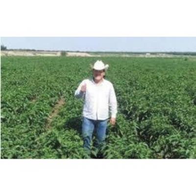 grupo ecologista busca ampliar amistades