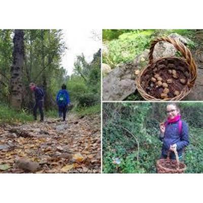 grupo ecologista busca ampliar amistades