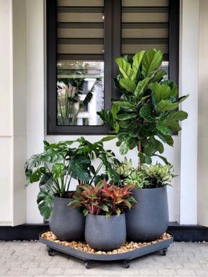 SERVICIO DE JARDINERIA