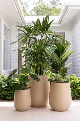 SERVICIO DE JARDINERIA