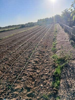 Ganaderia agricultura