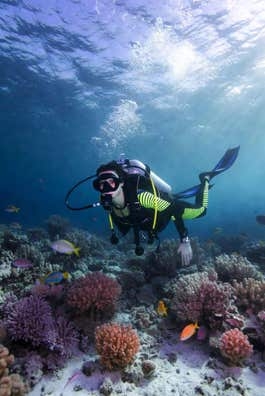 Remuneramos buceadores por agua de mar