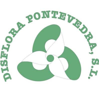 REPARTIDOR DE FLORES