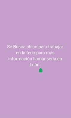 Se busca chico para trabajar en la feria