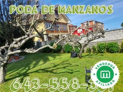 Mantenimiento desbroce poda jardinero
