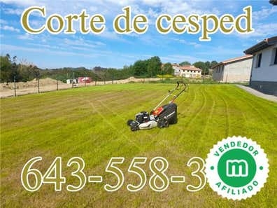 Mantenimiento desbroce poda jardinero