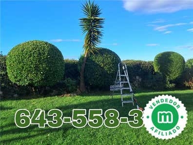 Mantenimiento desbroce poda jardinero