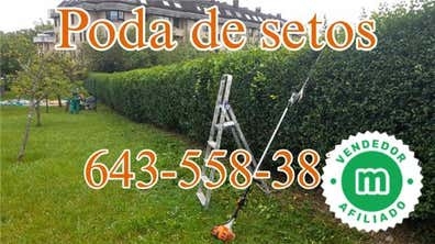 Mantenimiento desbroce poda jardinero