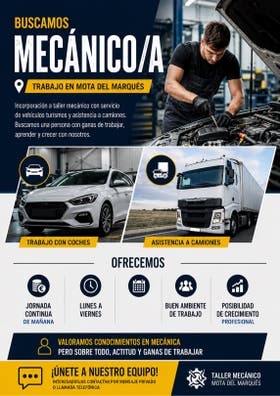 Mecanico en Mota del Marques