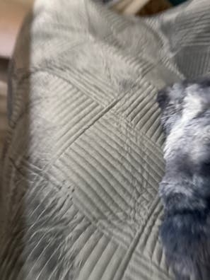 Necesito una señora   en administrcion